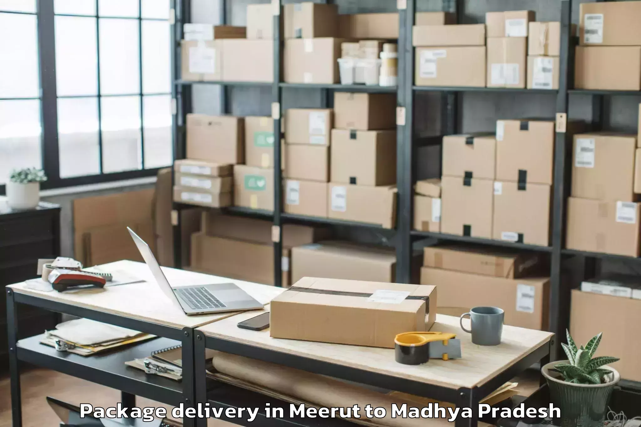 Easy Meerut to Murwara Package Delivery Booking